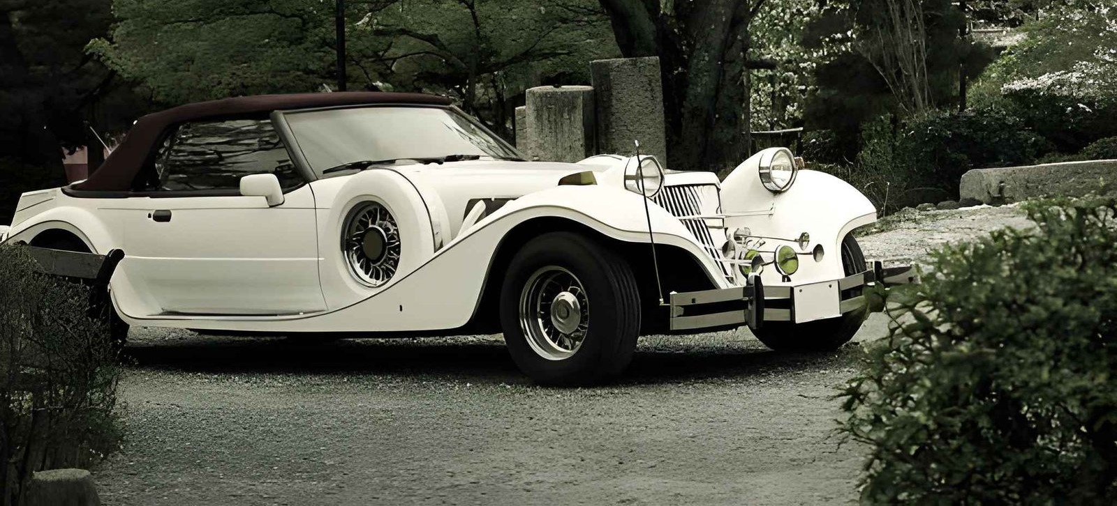 Limousine Services
